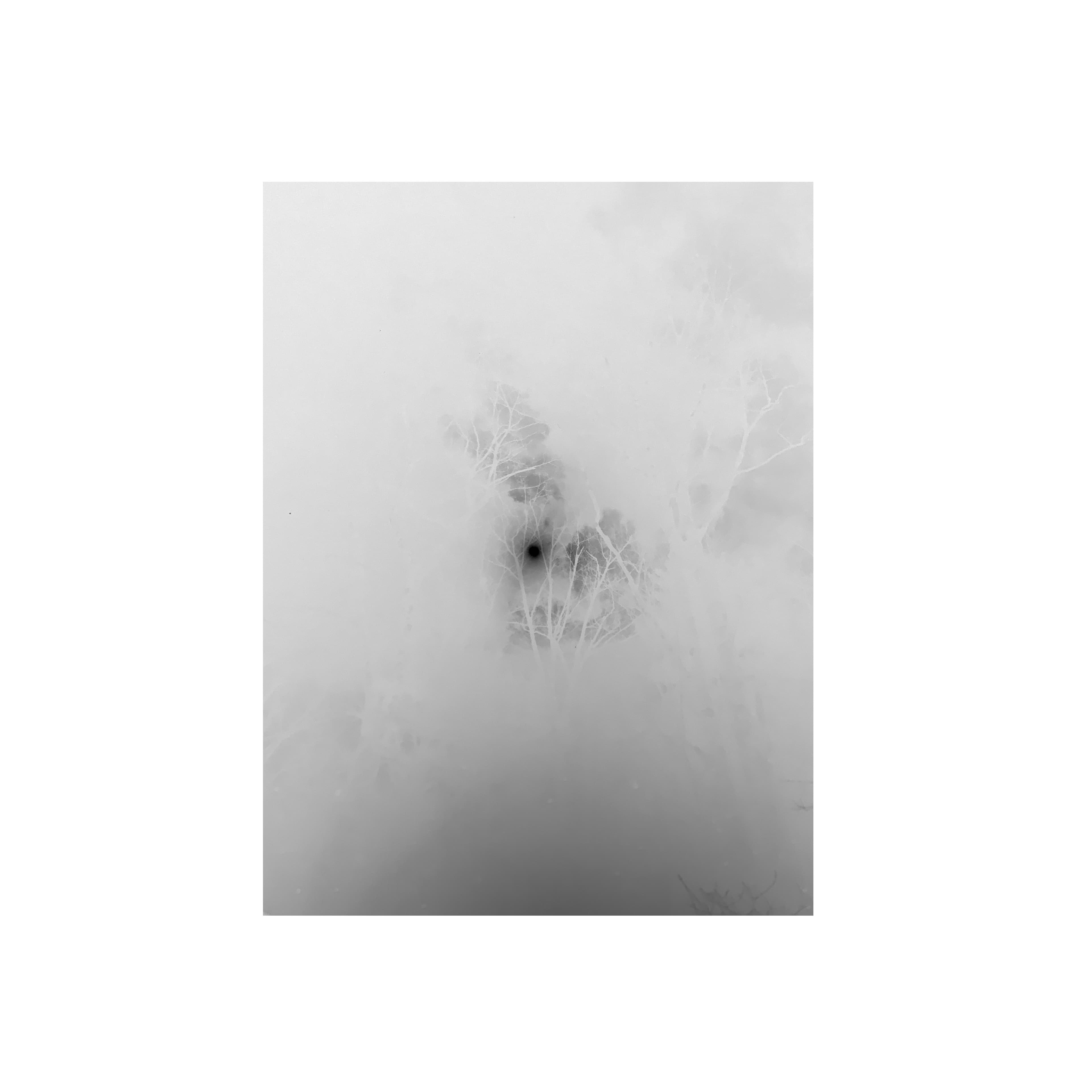 Music links section photo